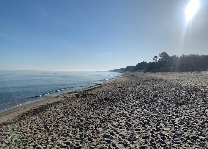 ホームステイ Atlantis