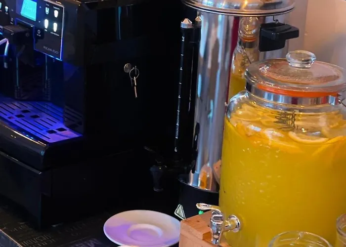 Atlantis Проживание в семье